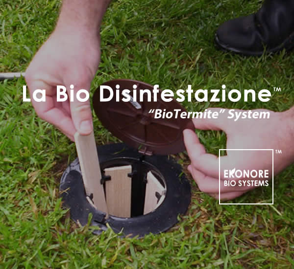 Azienda disinfestazione sicilia Azienda disinfestazione sicilia