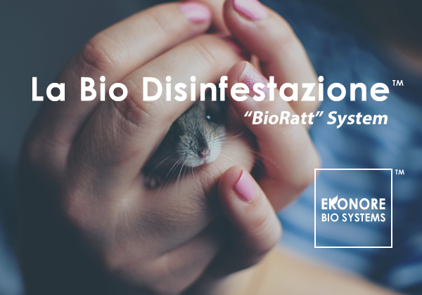 Derattizzazioni sicilia Azienda senza Pesticidi o veleni Derattizzazioni sicilia Azienda senza Pesticidi o veleni