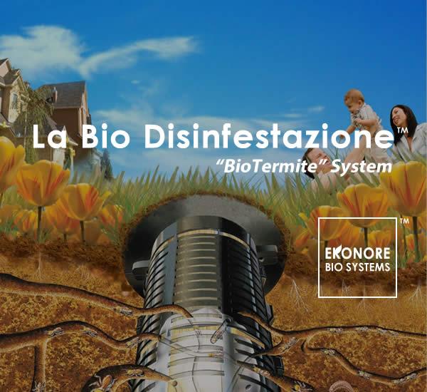 Azienda disinfestazione sicilia Azienda disinfestazione sicilia