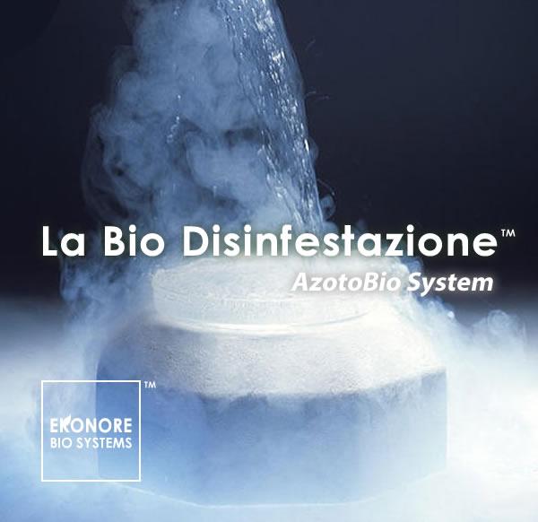 Trattamento disisinfestazione Ragni in Sicilia ad Azoto Criodisinfestazione Trattamento disisinfestazione Ragni in Sicilia ad Azoto Criodisinfestazione