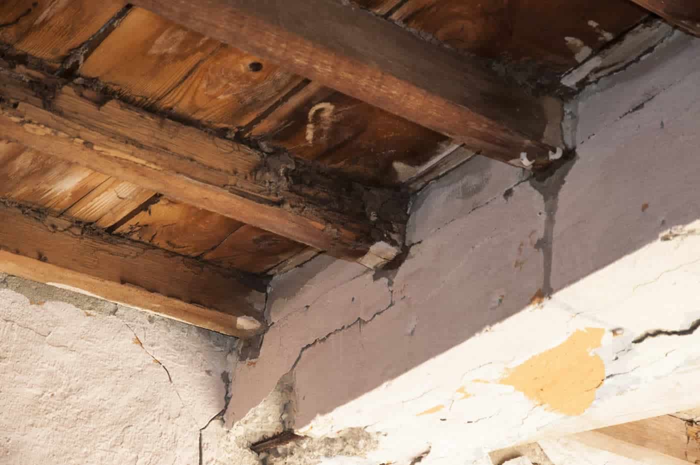 Travi e tetti in legno – disinfestazione termiti in Sicilia
