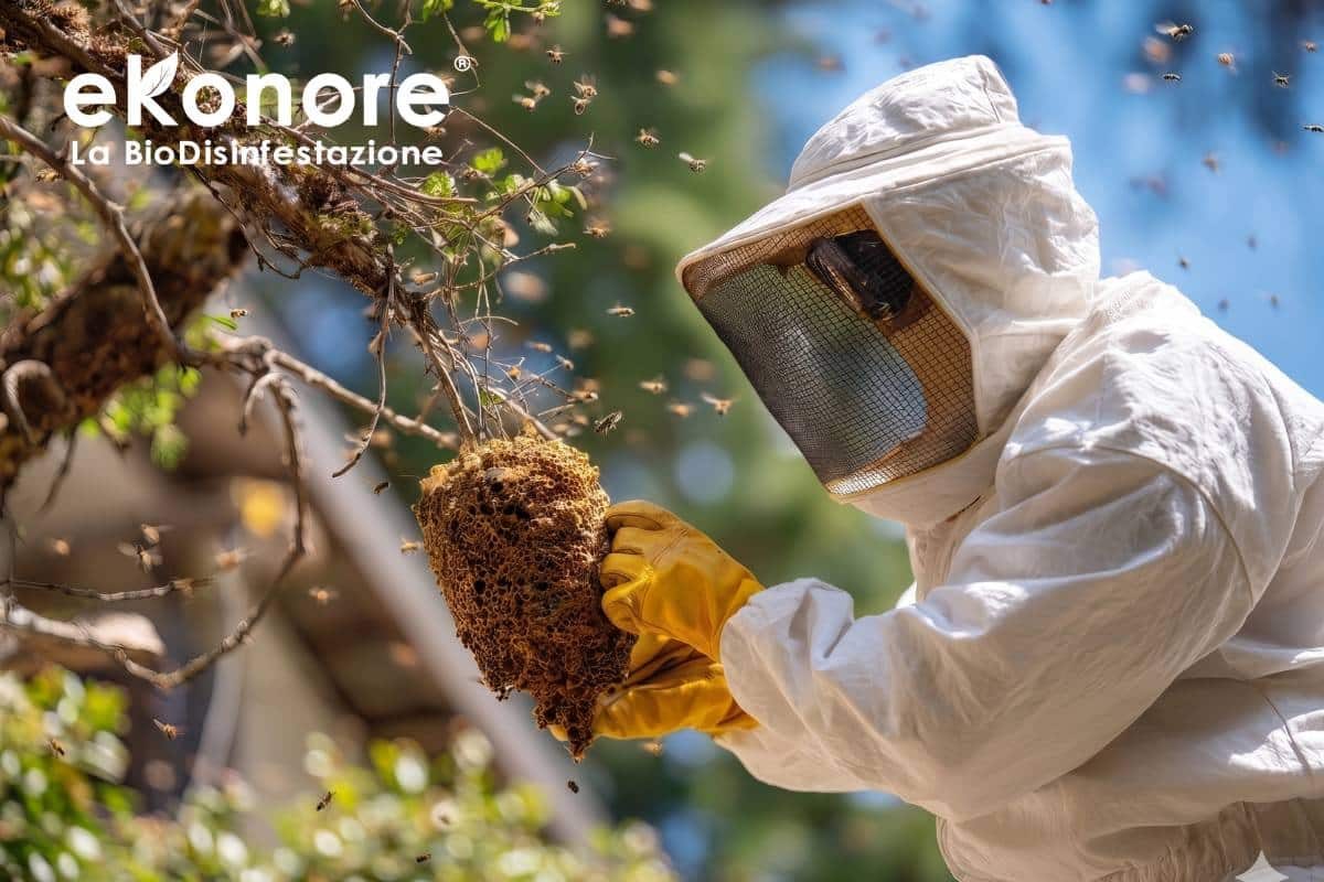 Sopralluogo e conta dei nidi – disinfestazione processionaria senza pesticidi