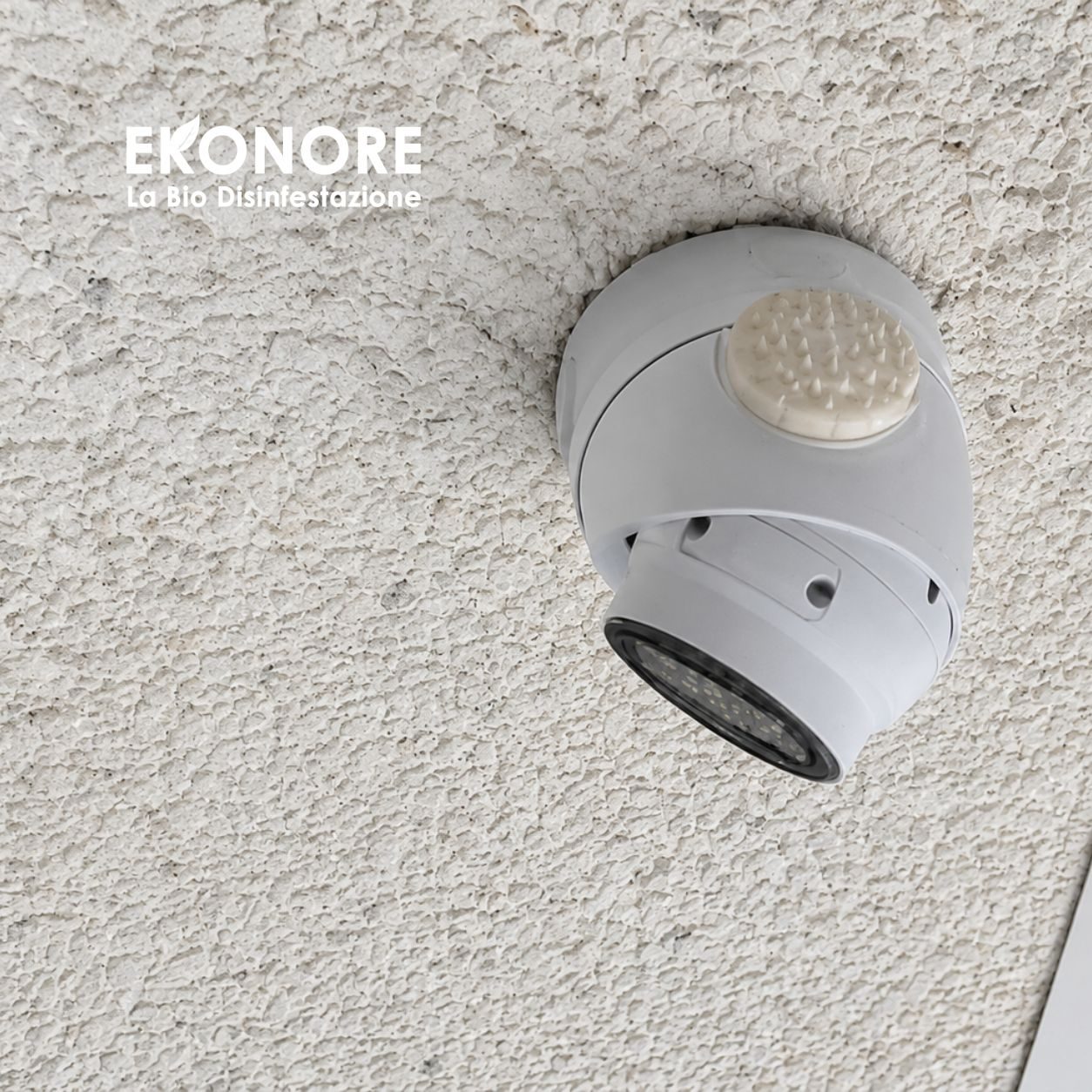 BirdFire installato – allontanamento volatili