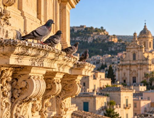 Zecche del piccione a Ragusa: palazzi barocchi, sottotetti e punture di notte
