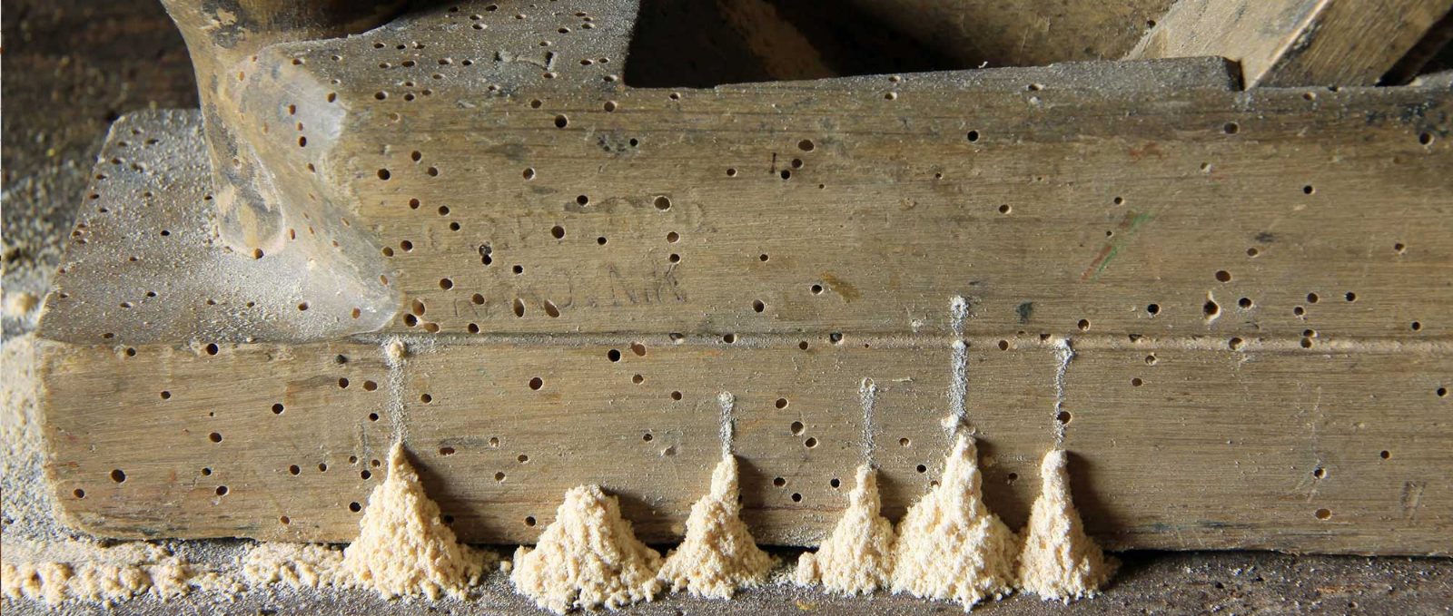 Polverina lasciata dai tarli del legno