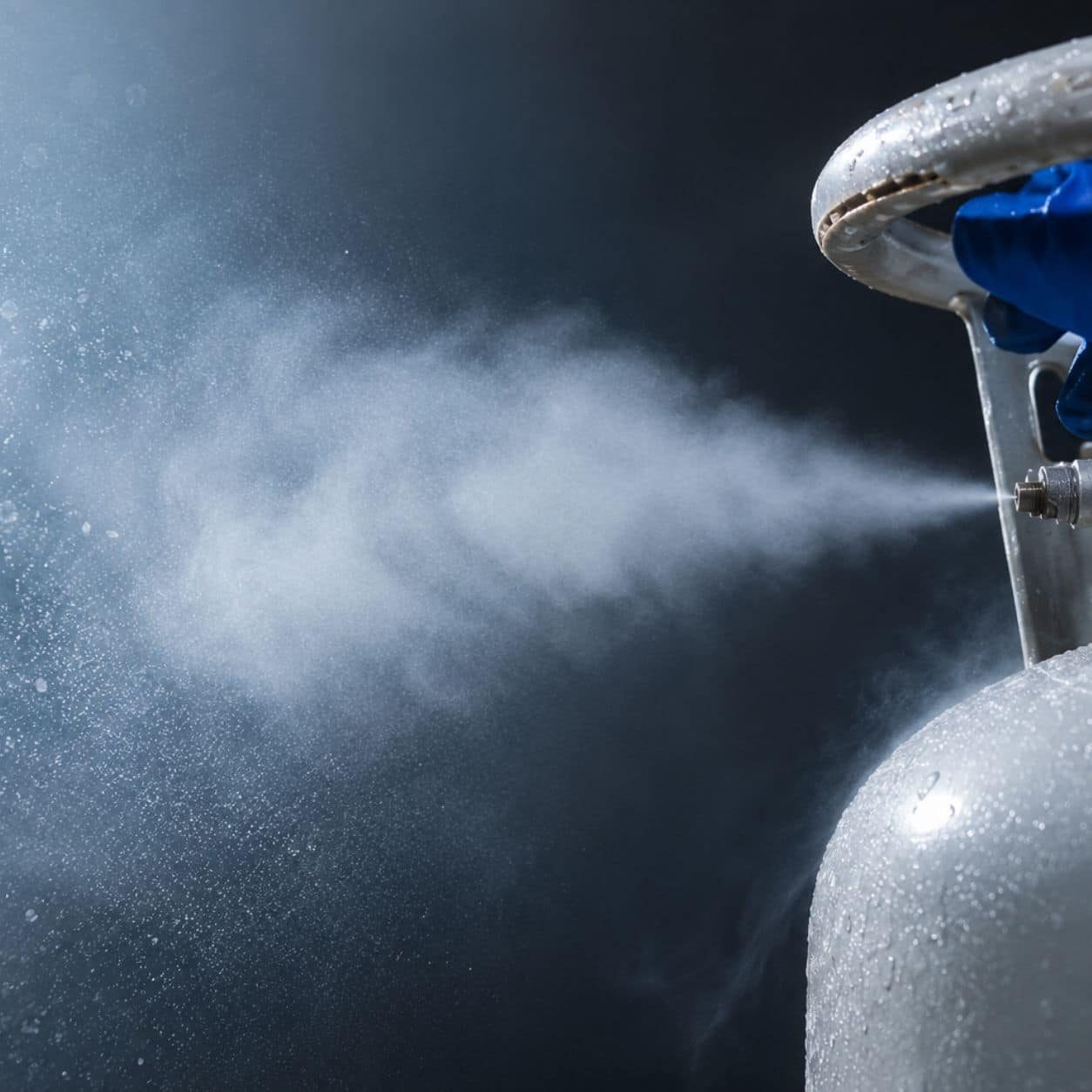 Disinfestazione tarme – Azoto liquido